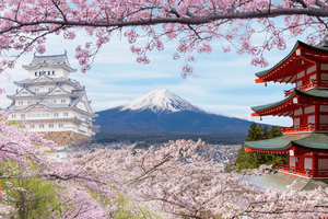 HƯỚNG DẪN XIN VISA DU LỊCH TỰ TÚC Ở NHẬT BẢN