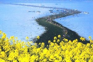 HIỆN TƯỢNG BIỂN TỰ TÁCH ĐÔI BÍ ẨN VÀ HẤP DẪN TẠI HÀN QUỐC