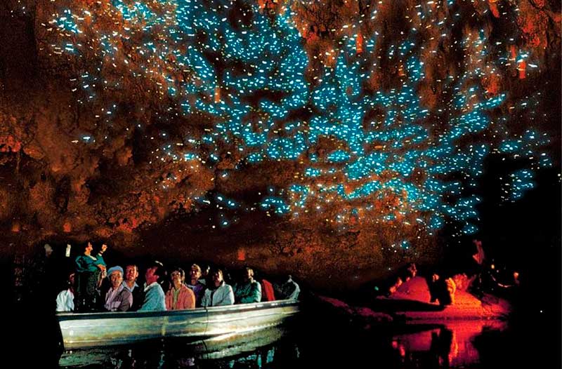 hang-dong-dom-dom-ky-ao-Waitomo.jpg